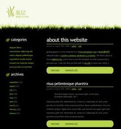 另类11页在线视频,揭秘在线视频中的另类世界