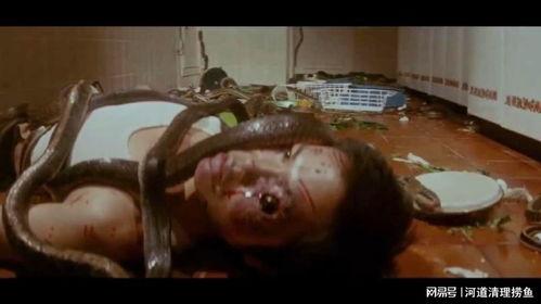 恐怖蛇在线视频观看,恐怖蛇在线视频背后的真实惊魂时刻