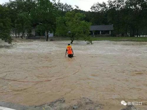 洪水在线视频,实时视频记录惊心动魄救援瞬间