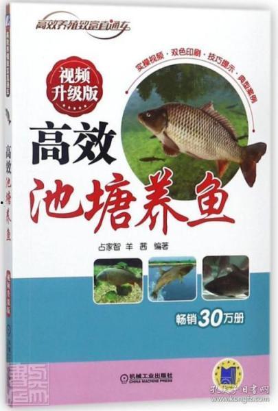 养鱼在线视频,在线视频教你轻松掌握养鱼技巧